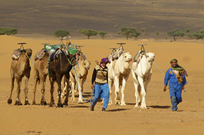 Berber sind extrem gastreundliche Menschen; Sie werden sich bei Ihren Gastgebern gut aufgehoben fühlen, Marokko