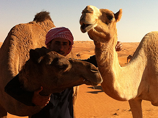 Beduine mit Kamelen in der Wahiba Wüste, Oman