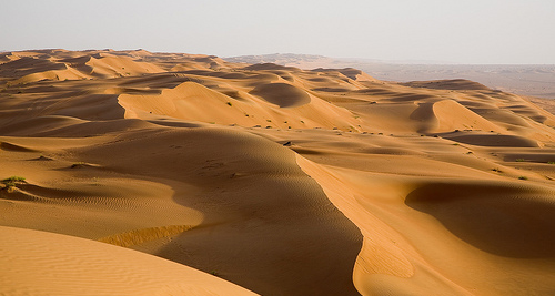 Wahiba Sands, Oman