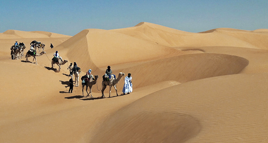 Adrar Süd &ndah; Dünenmeer, Täler, Berge, Palmen