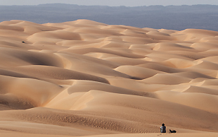 Blick über den Erg Amatlich, das grösste Dünengebiet in Mauretanien