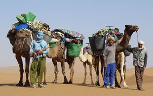 Ihre Begleiter erwarten Sie etwas ausserhalb der Oase Foum Zguid, Marokko
