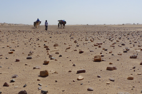 Ebene mit Steinen und prähistorischen Scherben in der Nähe von Chegaga