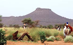 Die Karawane zieht durch ein Oued , Adrar Ahnet, Algerien