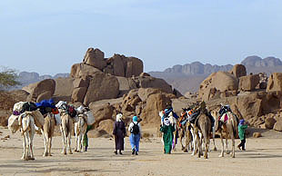 Die Karawane ist auf dem Weg zum Canyon von Assakao, Tassili N'Ajjer, Algerien