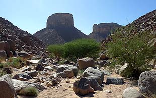 Fast am Ende des Abstiegs vom Tassili N'Ajjer, Algerien