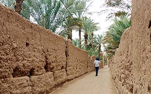 Sandige Strasse durch die Oase von Amezrou am Rand der Sahara, Marokko