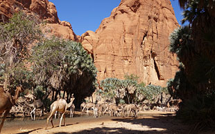 Guelta von Bachikele, Tschad