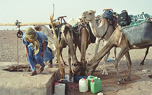 Das Wasser für Mensch und Tier wird am Ziehbrunnen aus tiefen Erdschichten hinauf gezogen – zum Trinken gibt es stilles Mineralwasser, Wüste, Marokko