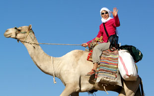 Dromedarreiten in Marokko, Sinai, Tunesien, Jordanien, Oman