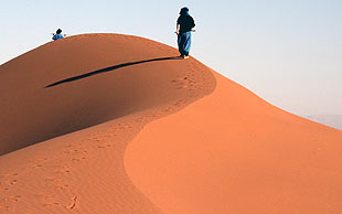 Rötliche Sanddüne bei der Oase Mhamid, Vallée du Drâa, Marokko