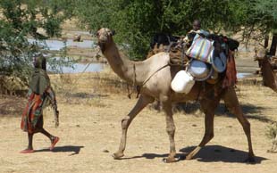 Nomadin in der Nähe von N'Djamena, Tschad