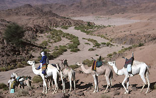 Abstieg in ein breites sandiges Oued, Hoggar, Algerien