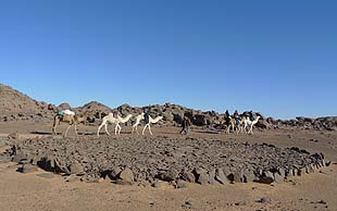 Runde prähistorische Kultstätte, ca. 30 Meter im Durchmesser, Tassili Immidir, Algerien