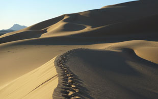  Die Dünen des Erg von Tisseline, Immidir, Algerien