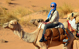 Kamelreiten in Mauretanien, Packsattel