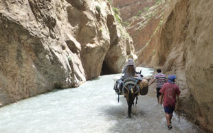 Schlucht von M'Goun im Hohen Atlas, Marokko