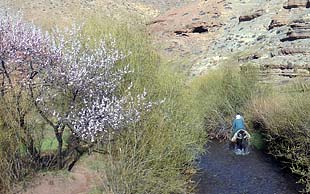 Das Wasser für Mensch und Tier wird aus dem Fluss geholt – zum Trinken gibt es stilles Mineralwasser, M'Goun, Marokko