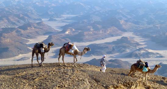 Abendstimmung auf dem Plateau el Gunna, Kameltour Nageb, Sinai–Halbinsel