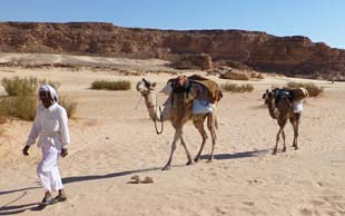 Das Gebiet um die White Mountains ist recht sandig, Sinai