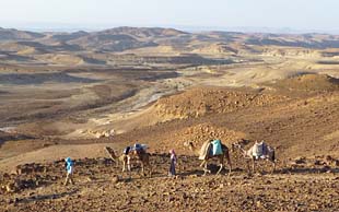 Abendstimmung auf dem Plateau el Gunna, Sinai