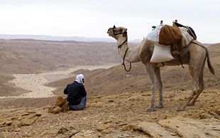Gegen Norden blickt man vom Gunna–Plateau ins Wadi Arada, Kameltour Nageb, Sinai