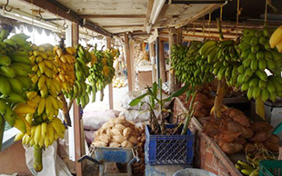 Stand mit Früchten, Salalah, Oman