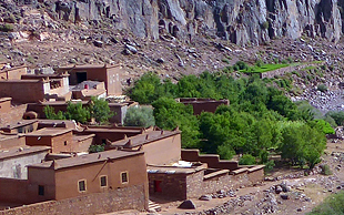 Felder mit Bäumen bei der Oase Tajalajt, Djebel Saghro, Marokko