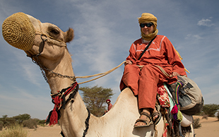 Reitkamel, Sudan