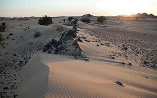 Düne, Bayuda, Sudan