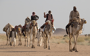 Nomaden vom Stamm der Hassania begleiten die Karawane, Sudan