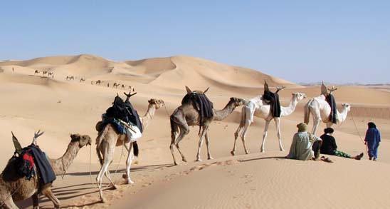 Karawane im Erg Admer bei Djanet, Algerien