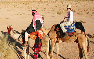 Alle Reiseteilnehmer haben ein eigenes Reitkamel, Wadi Rum,Jordanien