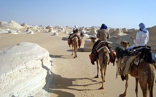 Die Karawane zieht durch Kalksteinformationen, Weisse Wüste, Ägypten